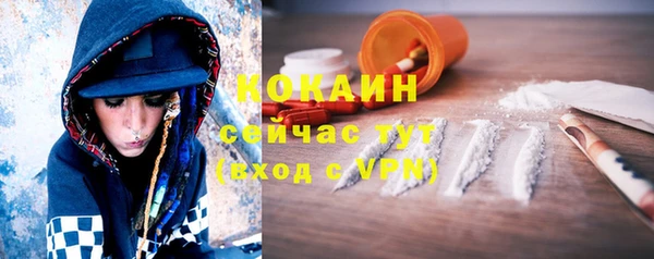 прущие грибы Протвино